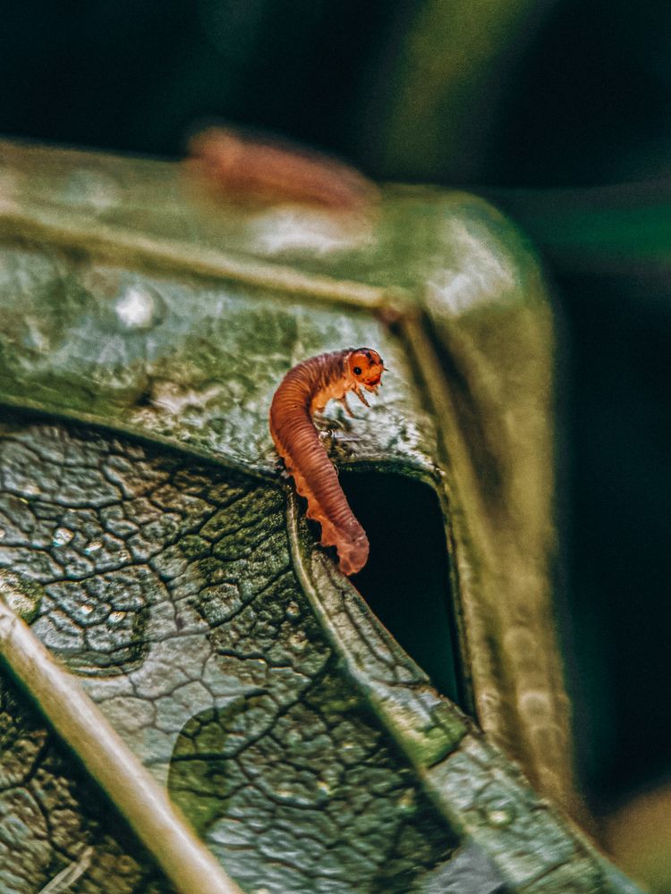 Фотография автора Юлия Осетрова