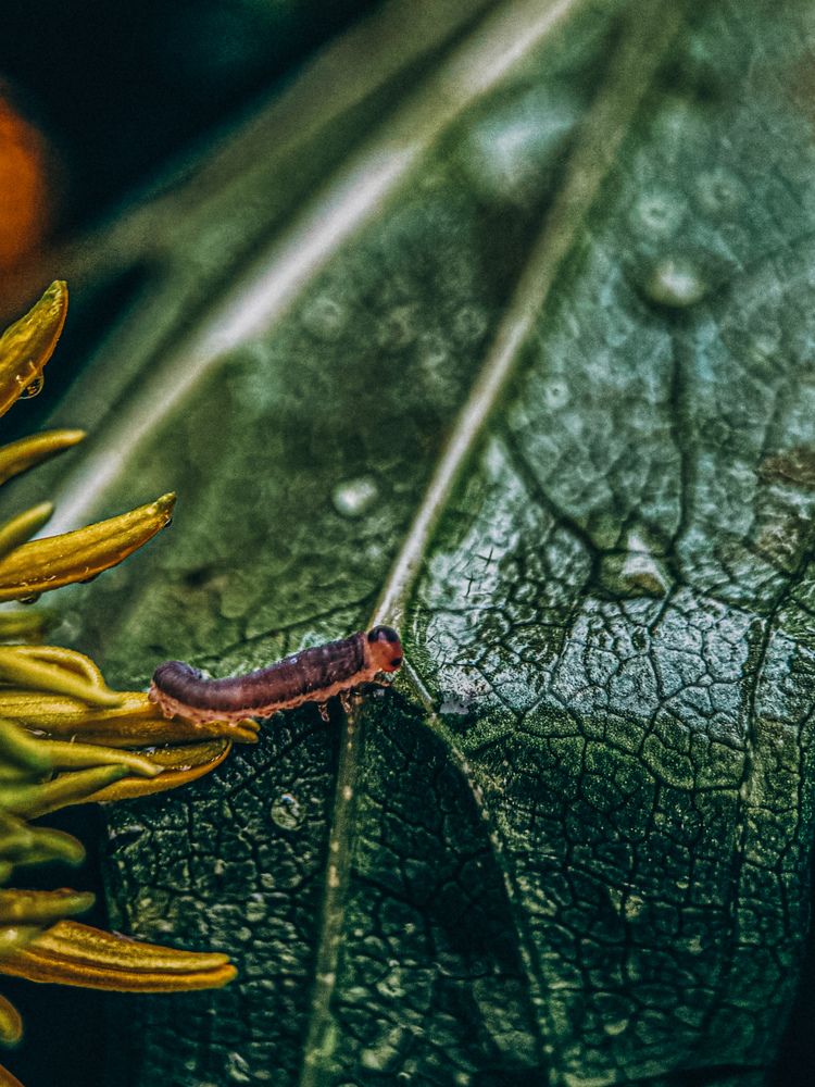 Фотография автора Юлия Осетрова