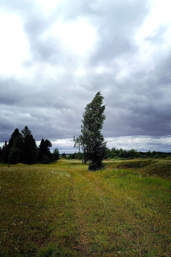 Photograph by Диана Токаревич