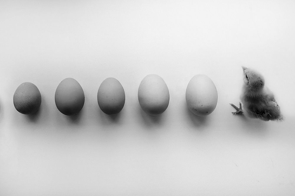 Photograph by Диана Токаревич