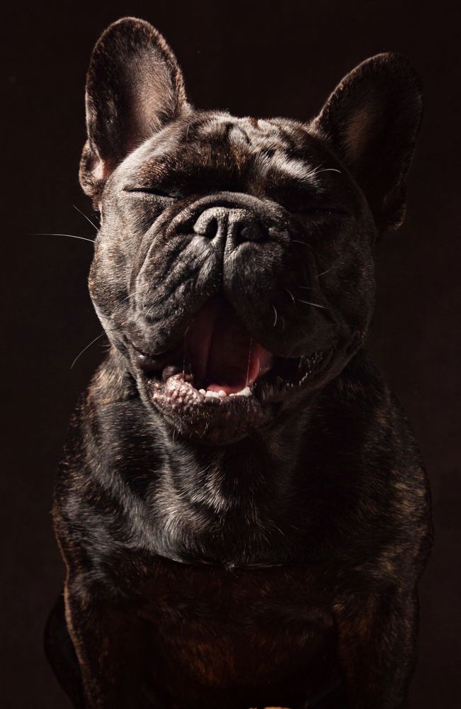 Photograph by Анна Васильева