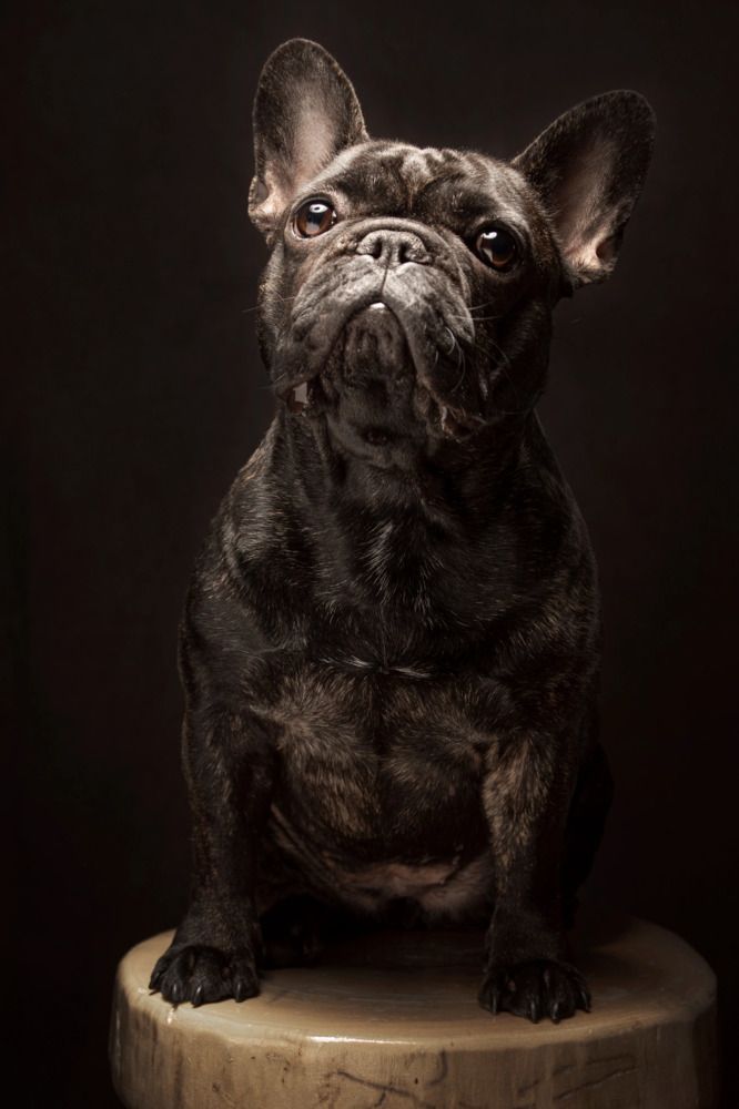 Photograph by Анна Васильева