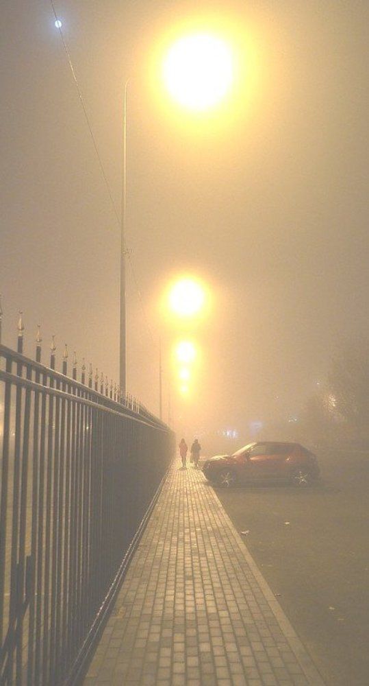 Photograph by Сергей