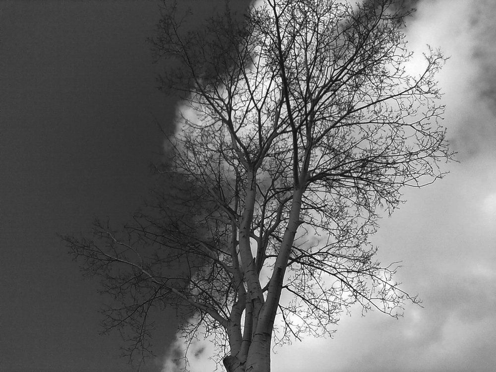 добро и зло