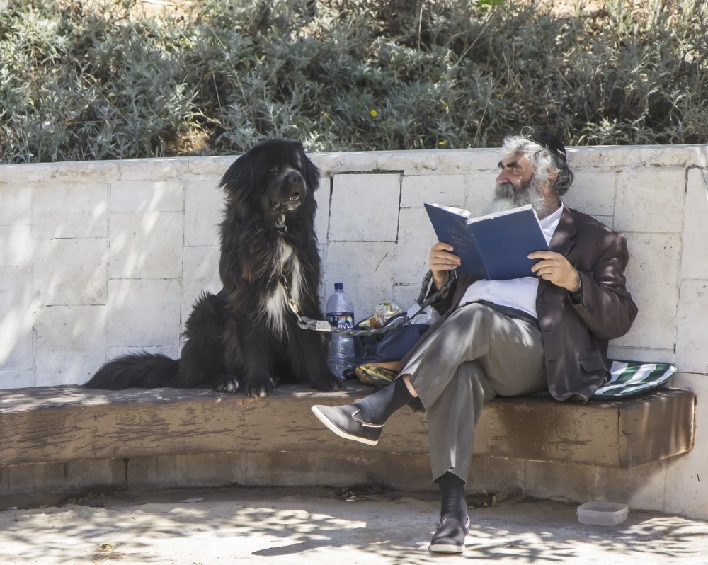 Собеседник