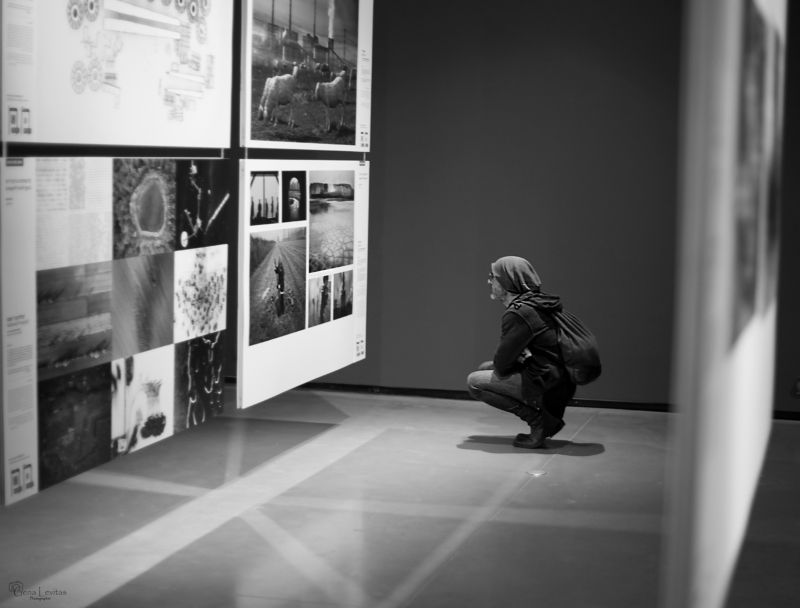 Gena Levitas, Israel