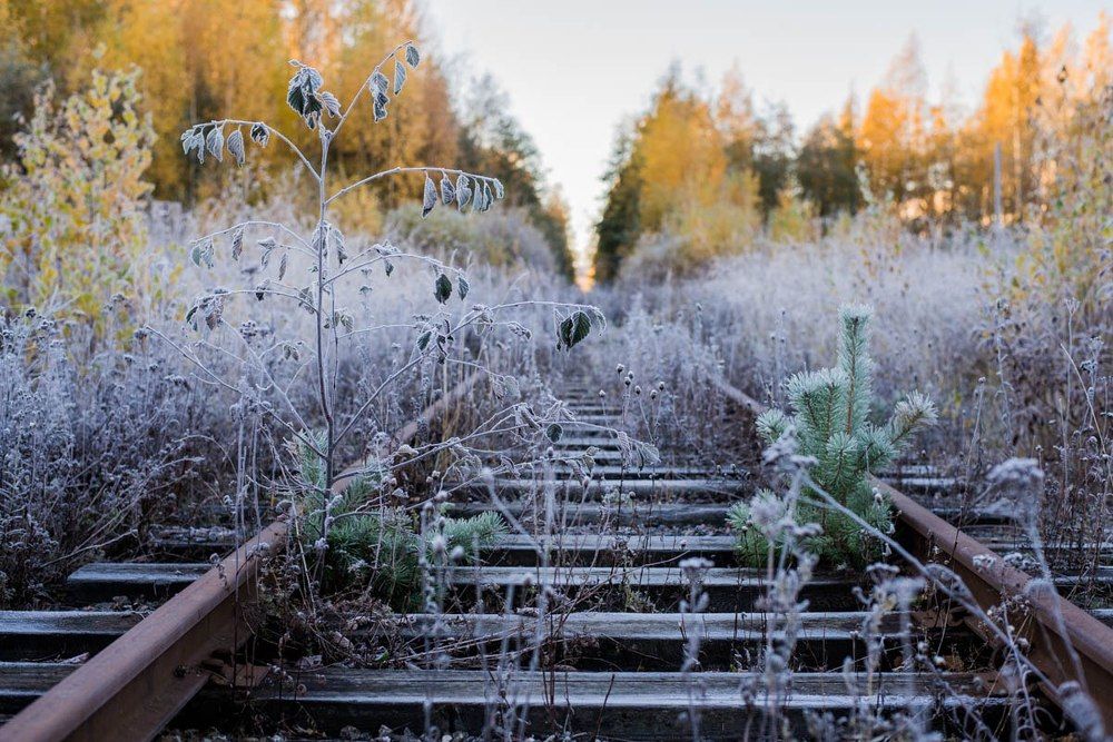 Зима уже в пути