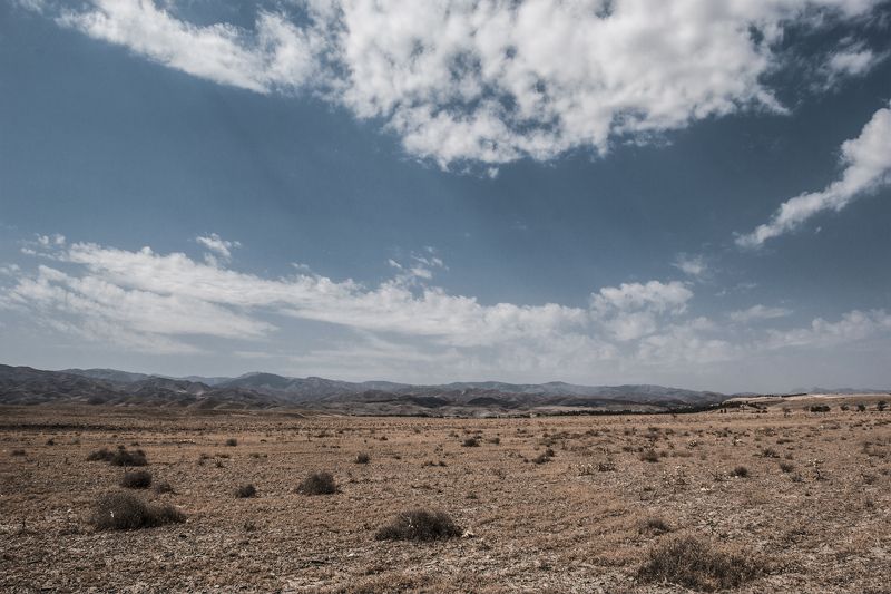 Sinā Qamsariān, Iran