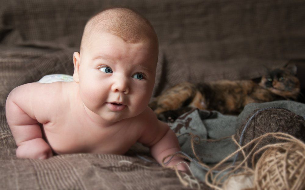 Уютные вечера