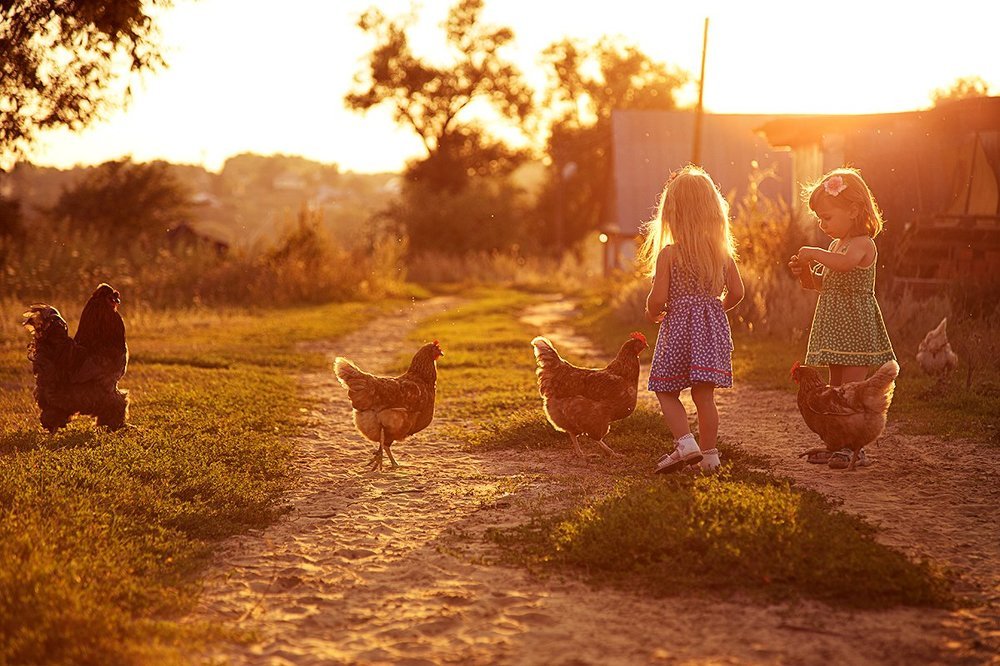 Теплое мгновение