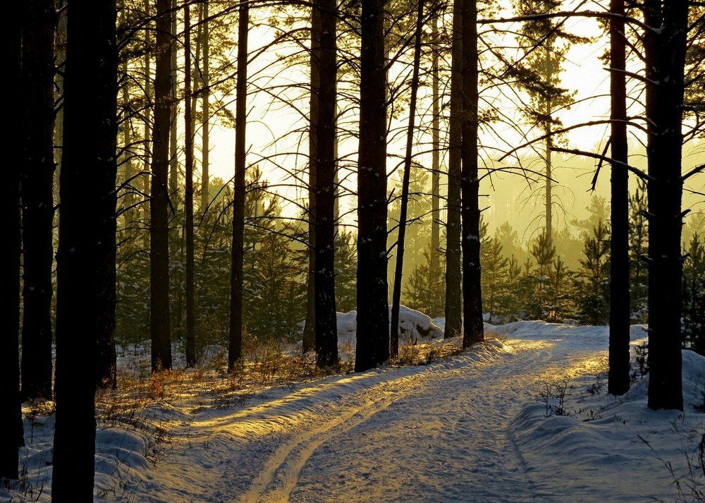 Волшебство....