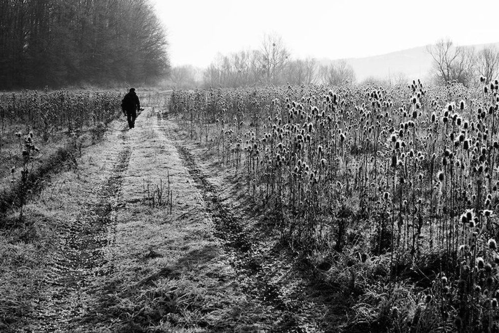 Морозное утро