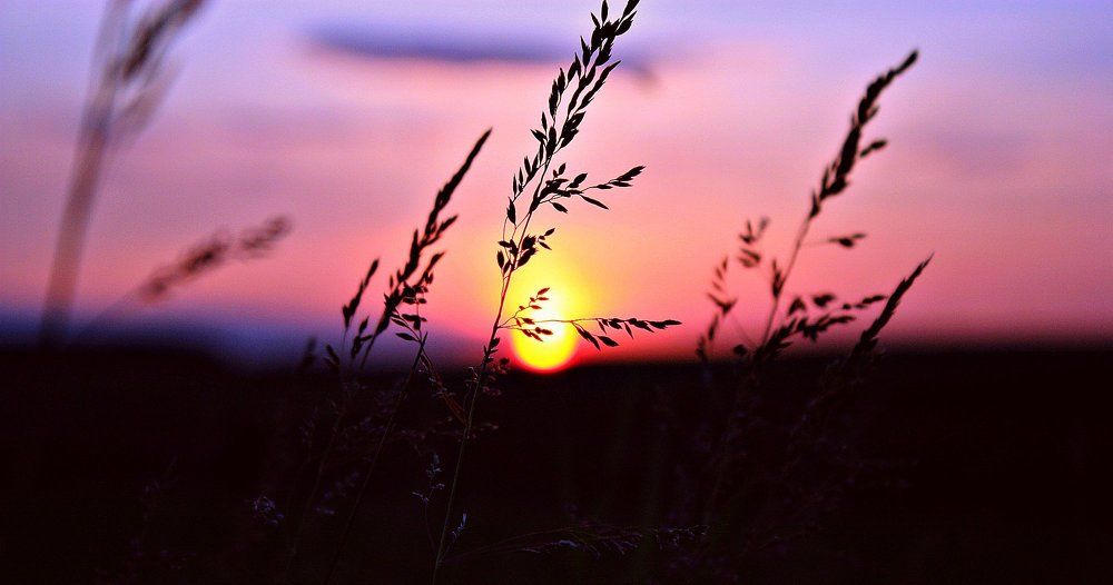 Горячий закат