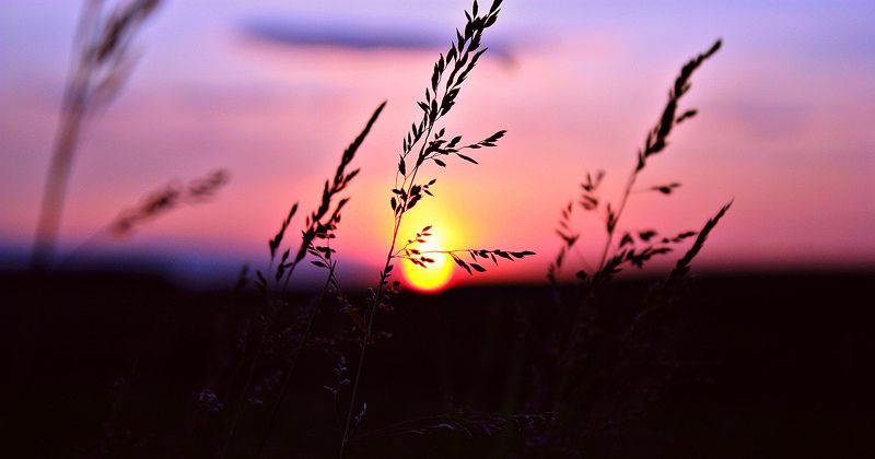 Aleksandr Yakovlevich, Russia