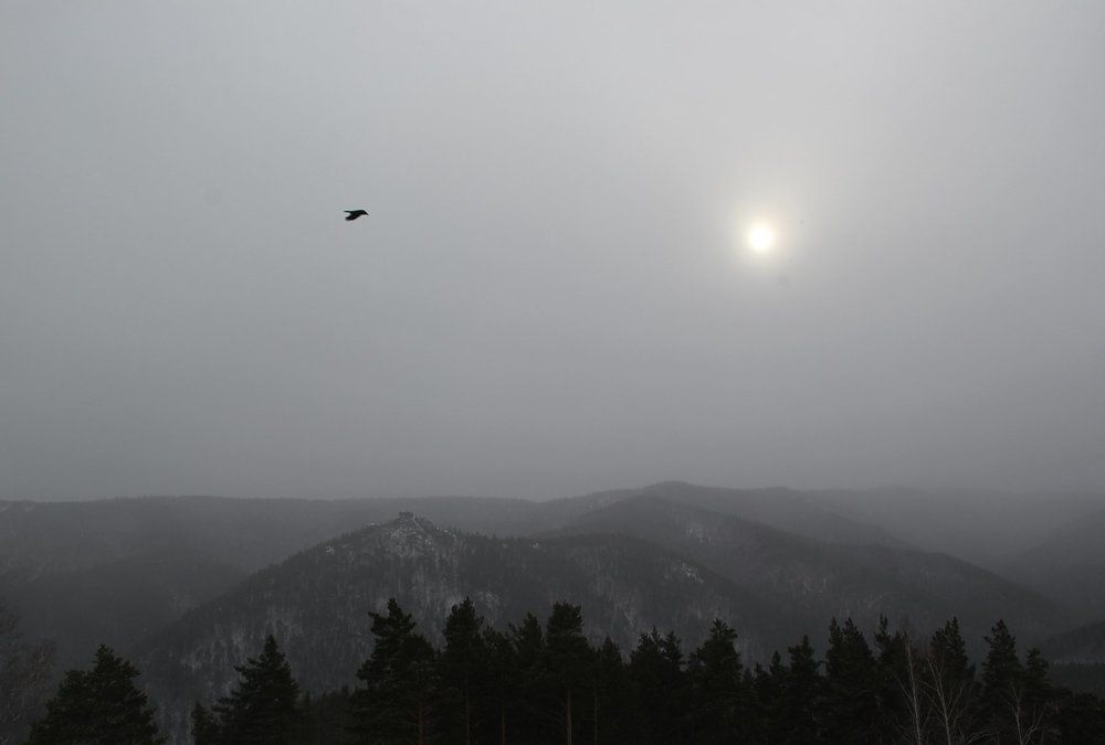 Неподдельные тона