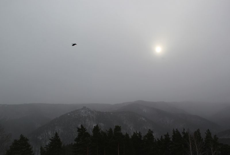 Oleg Maltsev, Russia