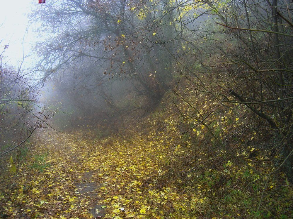 поздняя осень