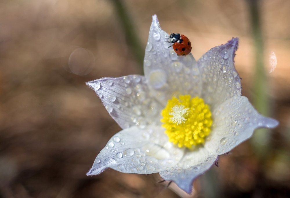 Утро. Водные процедуры.