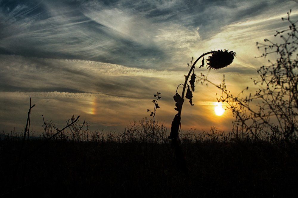 Photograph by Виталий