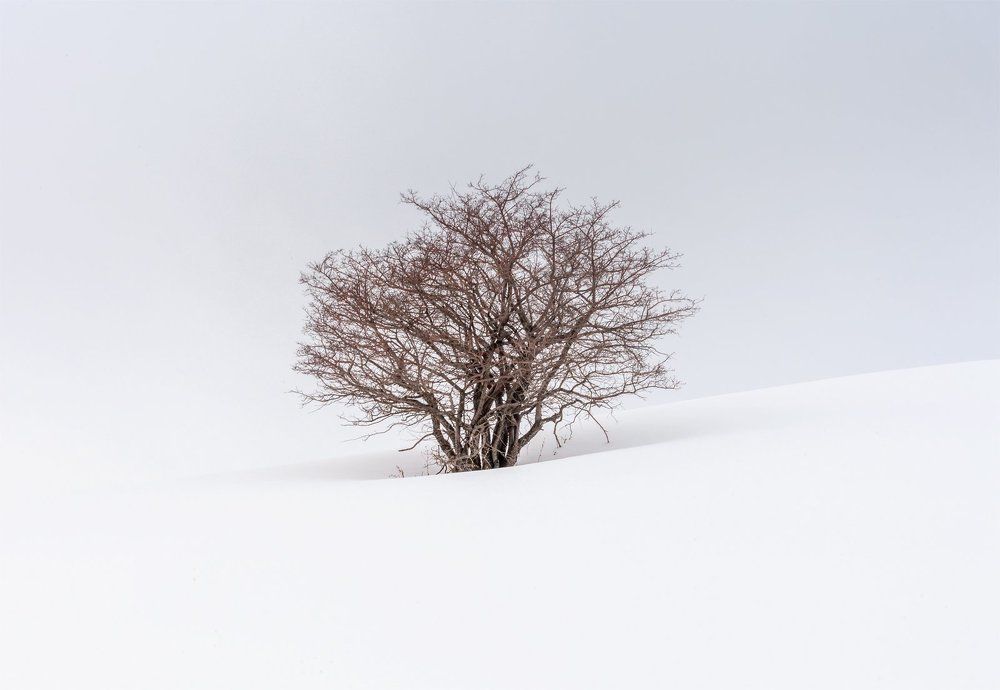 Одиночество — не сволочь