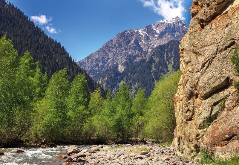 Николай Шумилов, Kazakhstan