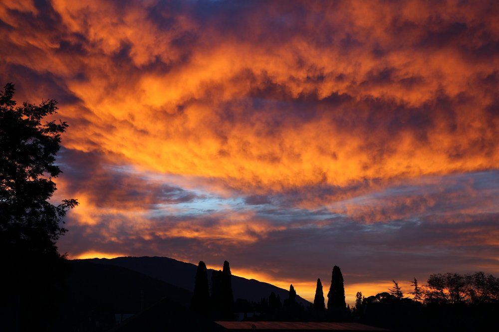 Зарницей полыхает небосвод
