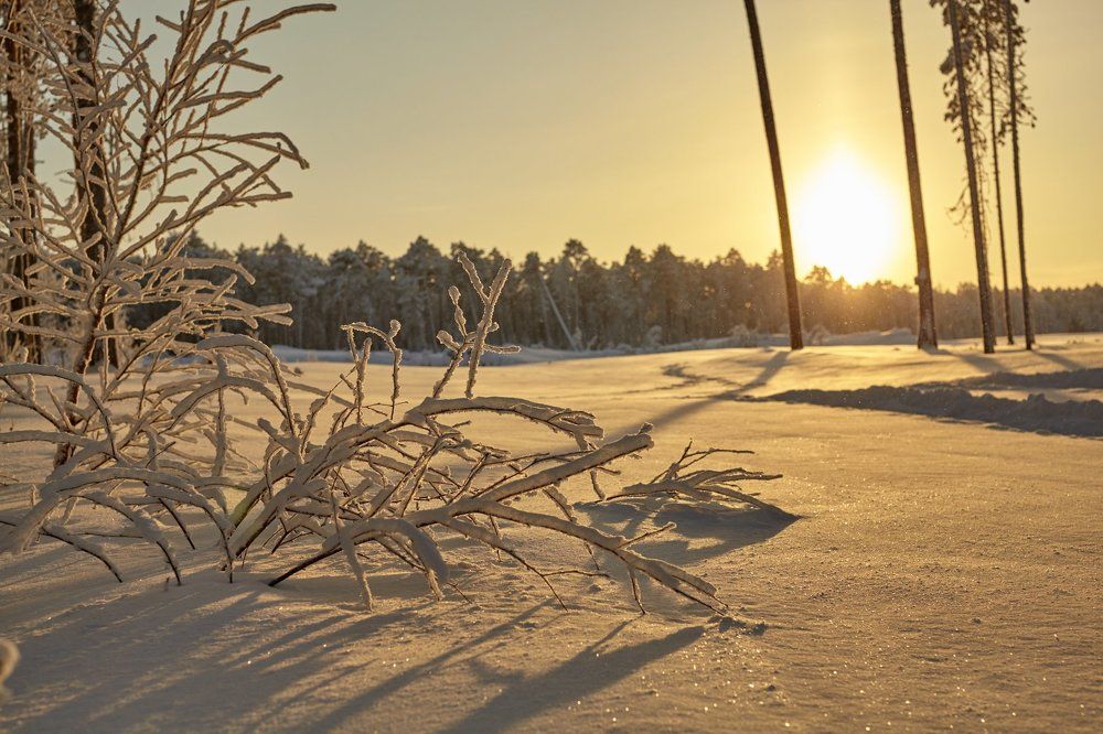Мороз и солнце.