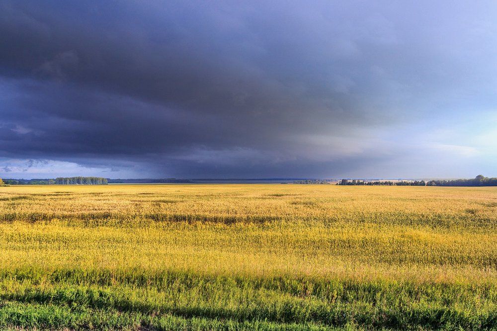 Сибирские просторы