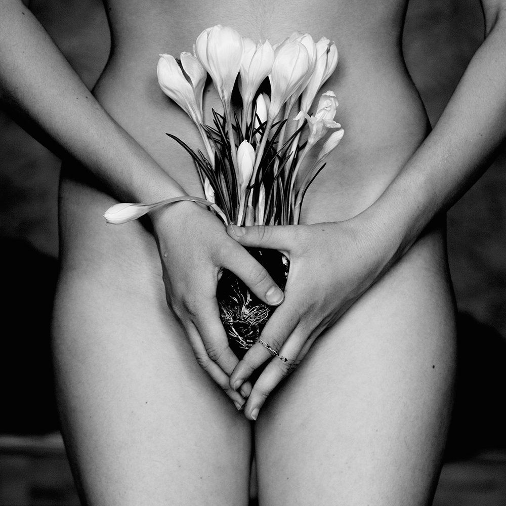 Без названия