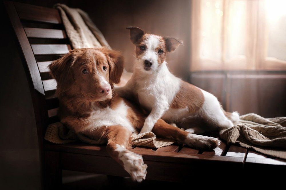 Утро в деревне 2