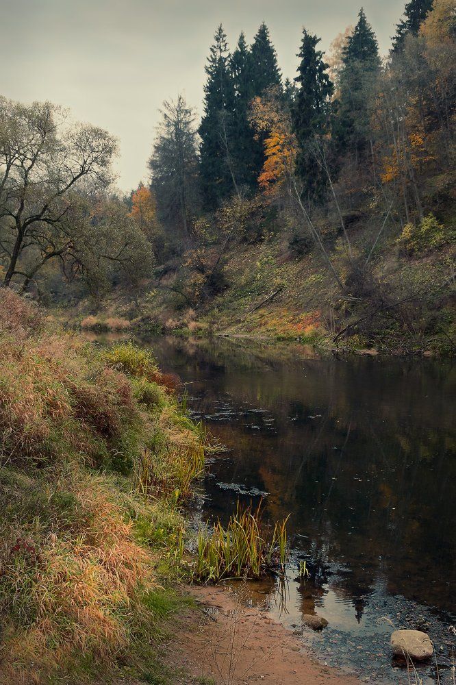 Река Лучёса. Осень.