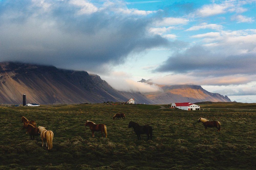 Дух Исландии