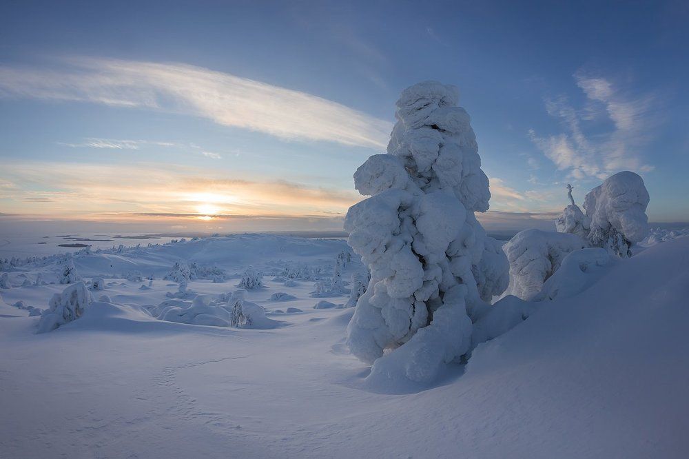 В гостях у снежных великанов.