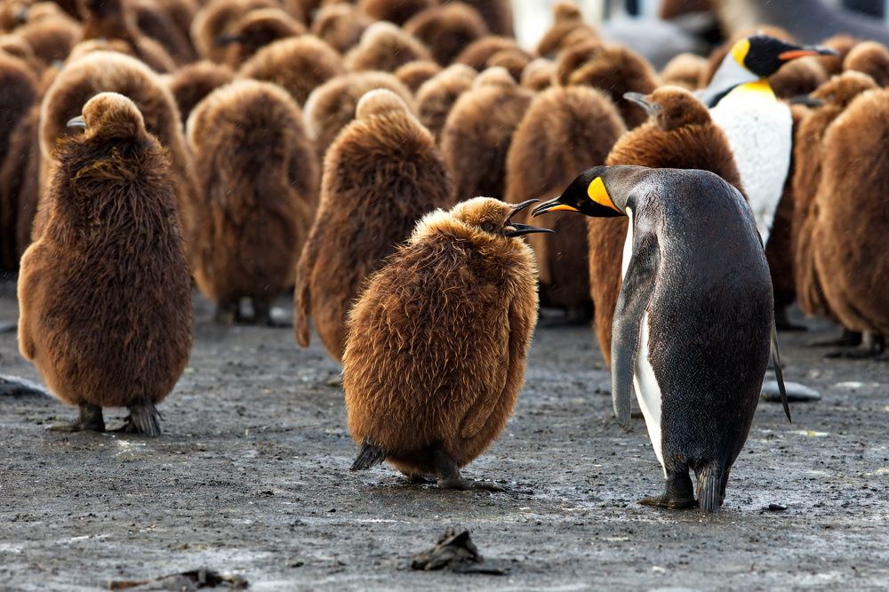 А ну-ка дыхни!