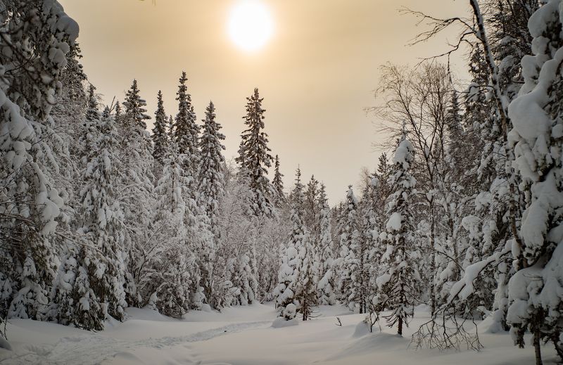Сергей, Russia