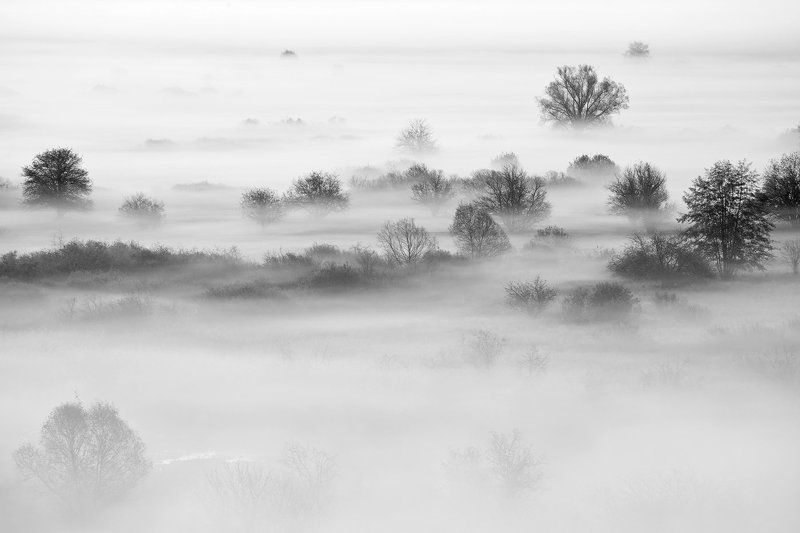 Yuri Sorokin, Russia