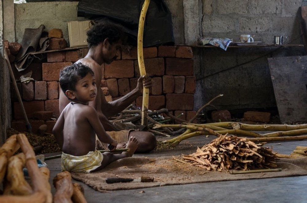 Производство корицы