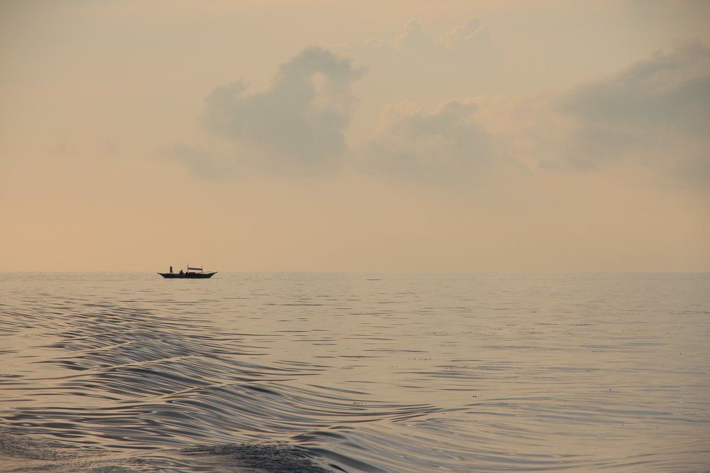 этюд в пастельных тонах