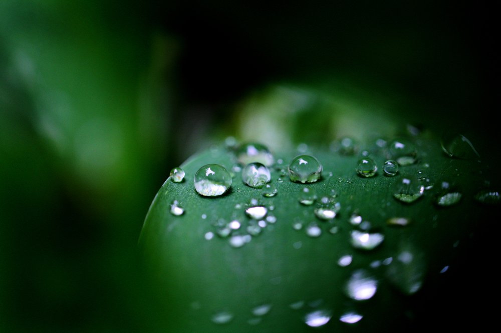 после дождя