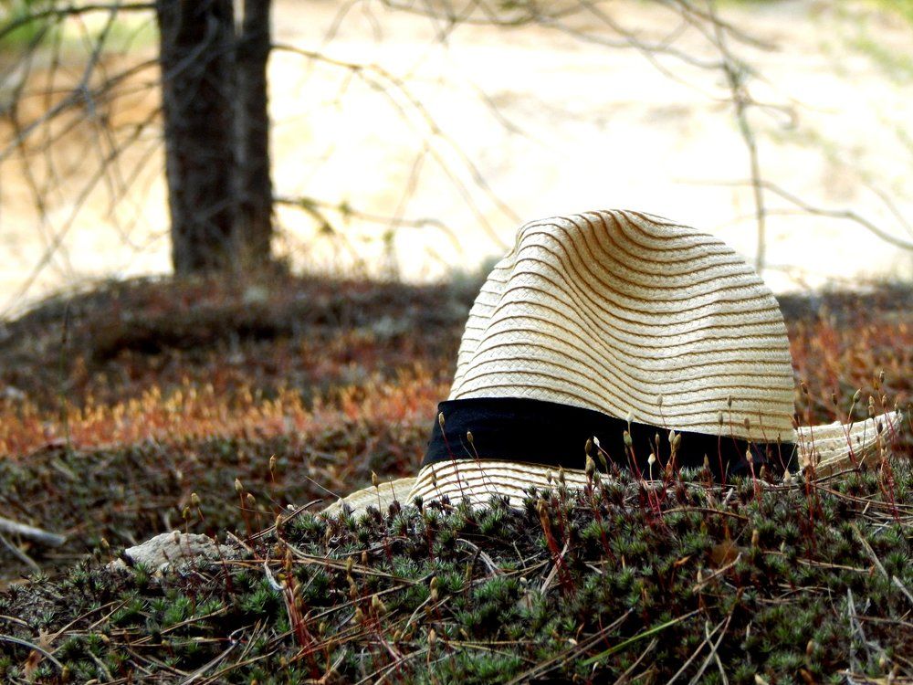 Photograph by Елизавета