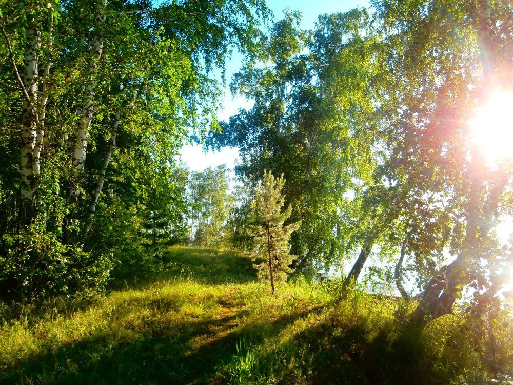 Photograph by Ирина Рудакова