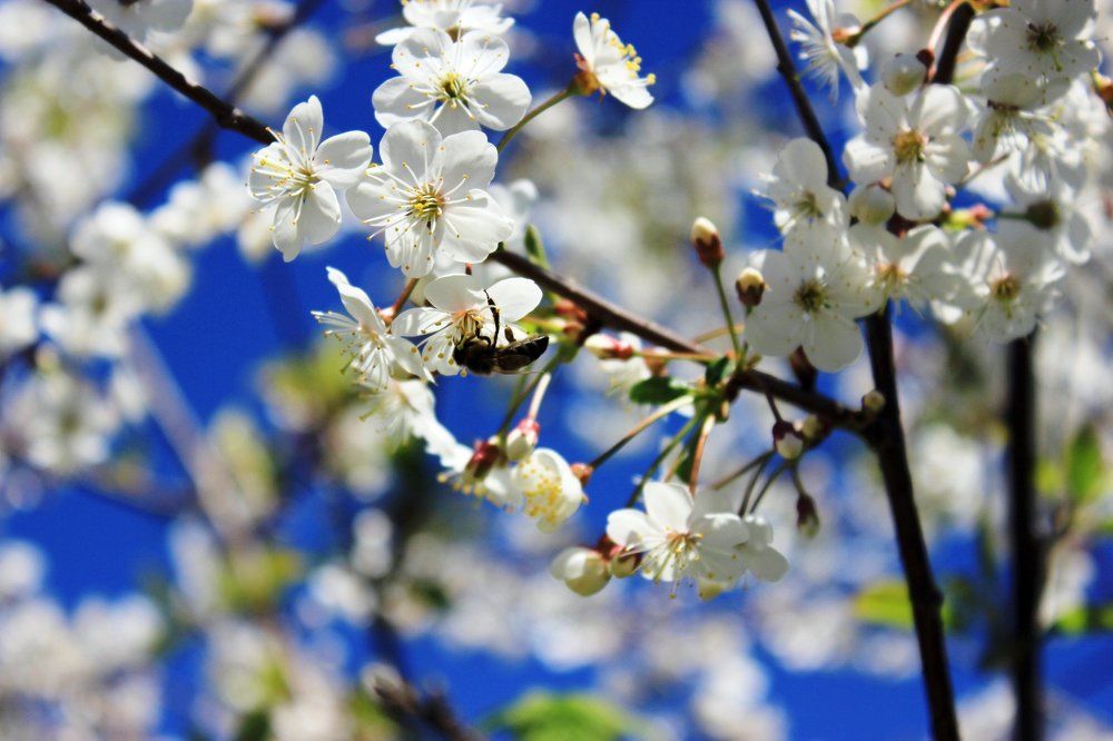 Застывшая природа