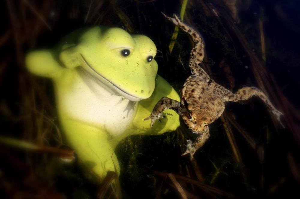 Photograph by Алексей Александрович