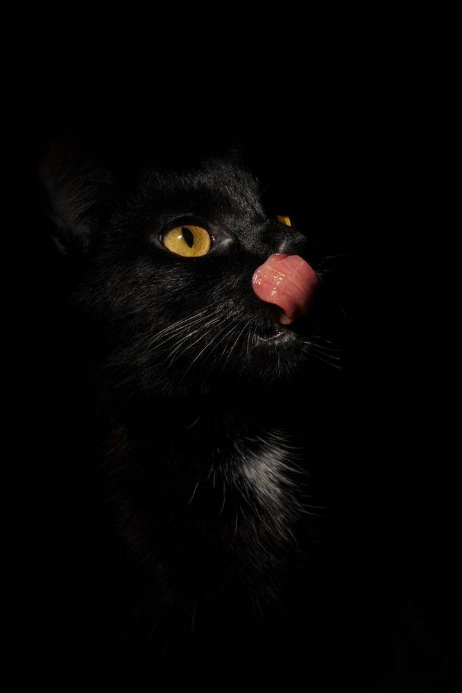 Фотография автора Вячеслав Афанасьев