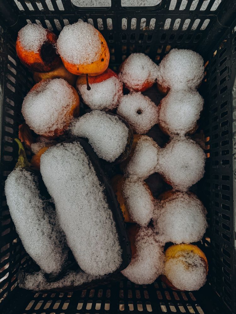 Фотография автора Юлия Осетрова