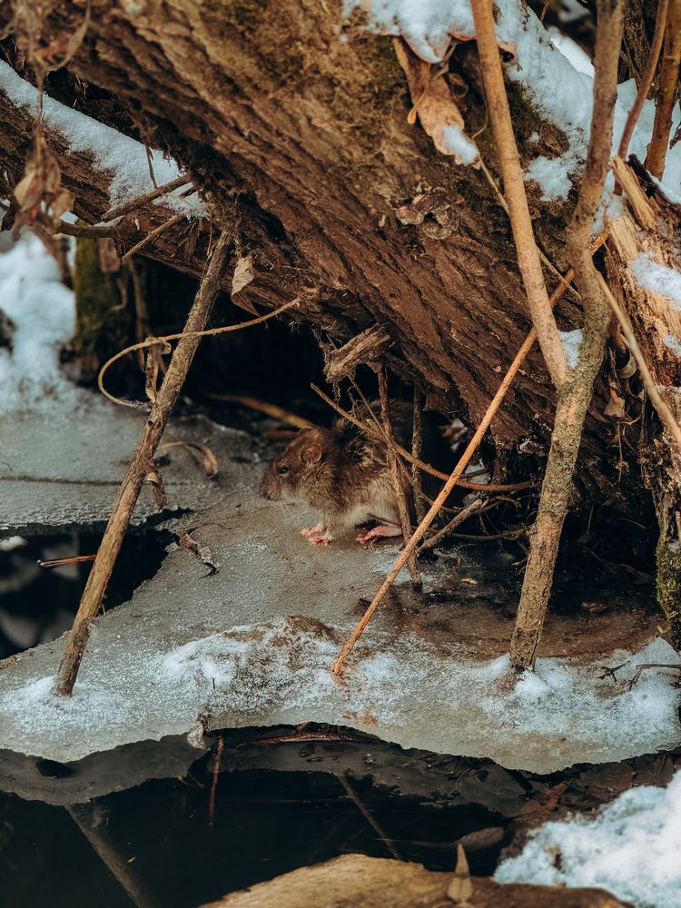 Фотография автора Юлия Осетрова