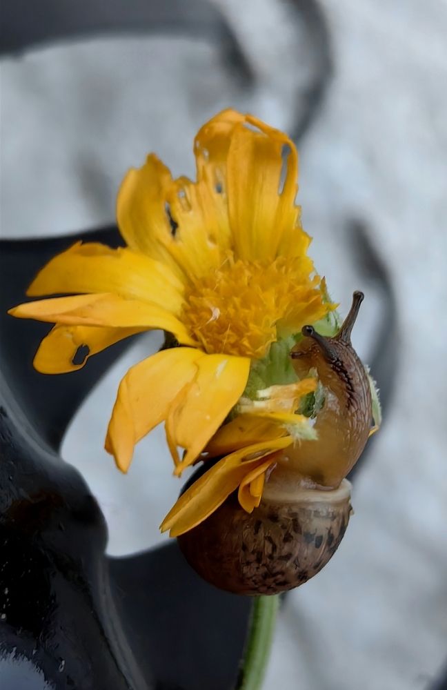 Photograph by Ирина Тихая