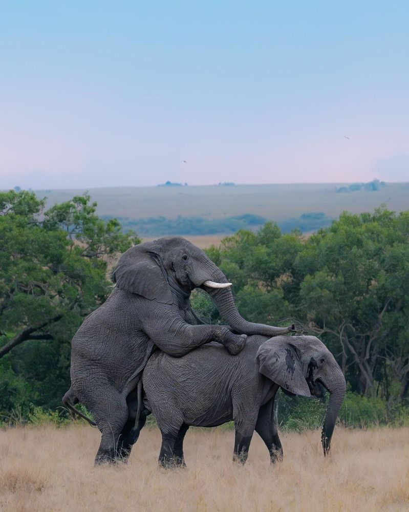 Photograph by Prasad Hamine