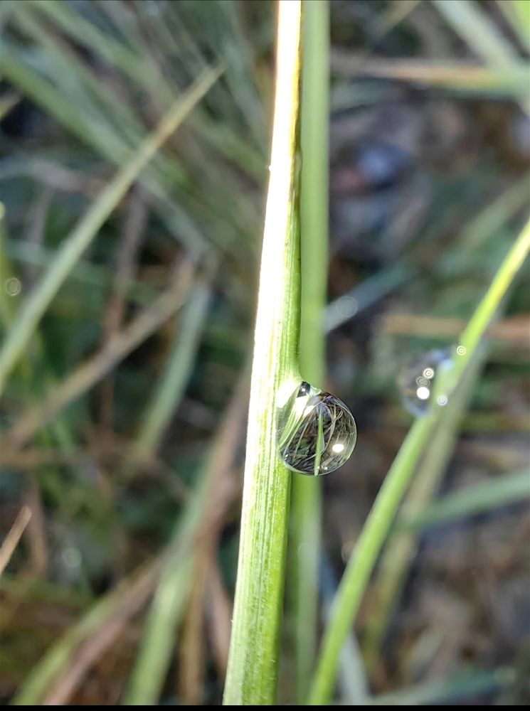 Photograph by Ирина Тихая