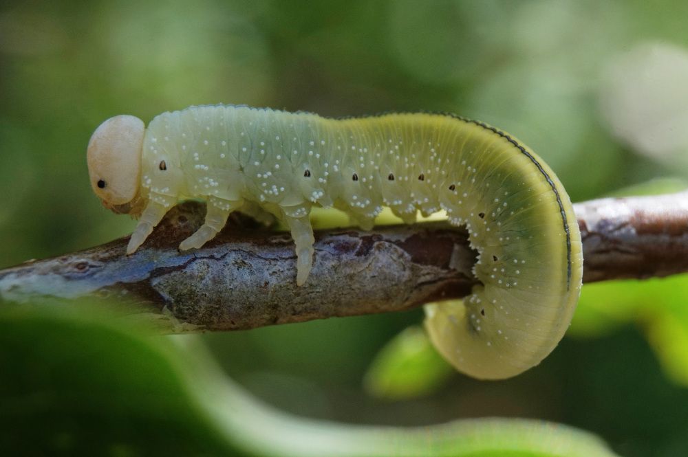 Photograph by Лена Максимкина